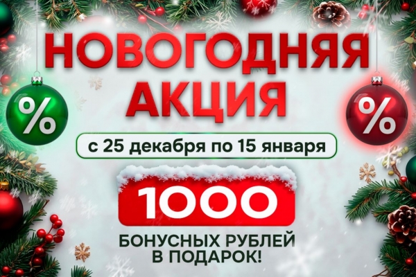 Счастливого Нового года и новогодняя акция для вас