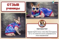 От лекал до онлайн-магазина